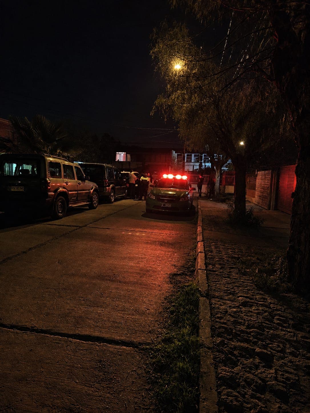Fiesta en pasaje Curepto termina con dos detenidos y un arma incautada en Conchalí.